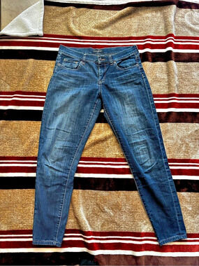 Banana Republic Skinny Jeans Men's Slim Blue Jeans